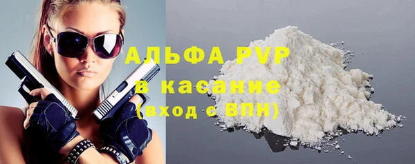 шишки Осташков