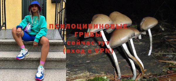 гидропоника Алзамай