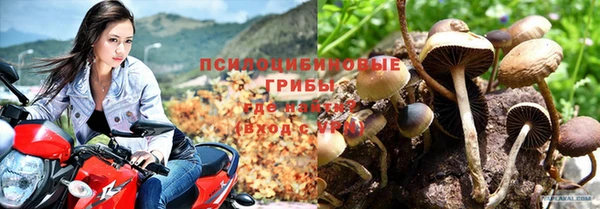 спайс Алексеевка