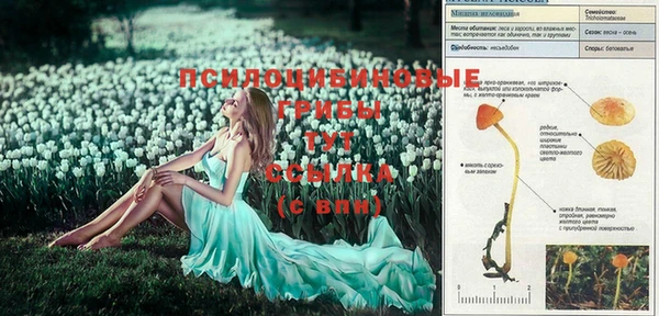 спайс Алексеевка